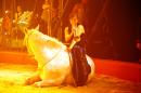 les NoNo font leur cirque 7 * 4368 x 2912 * (6.05MB)